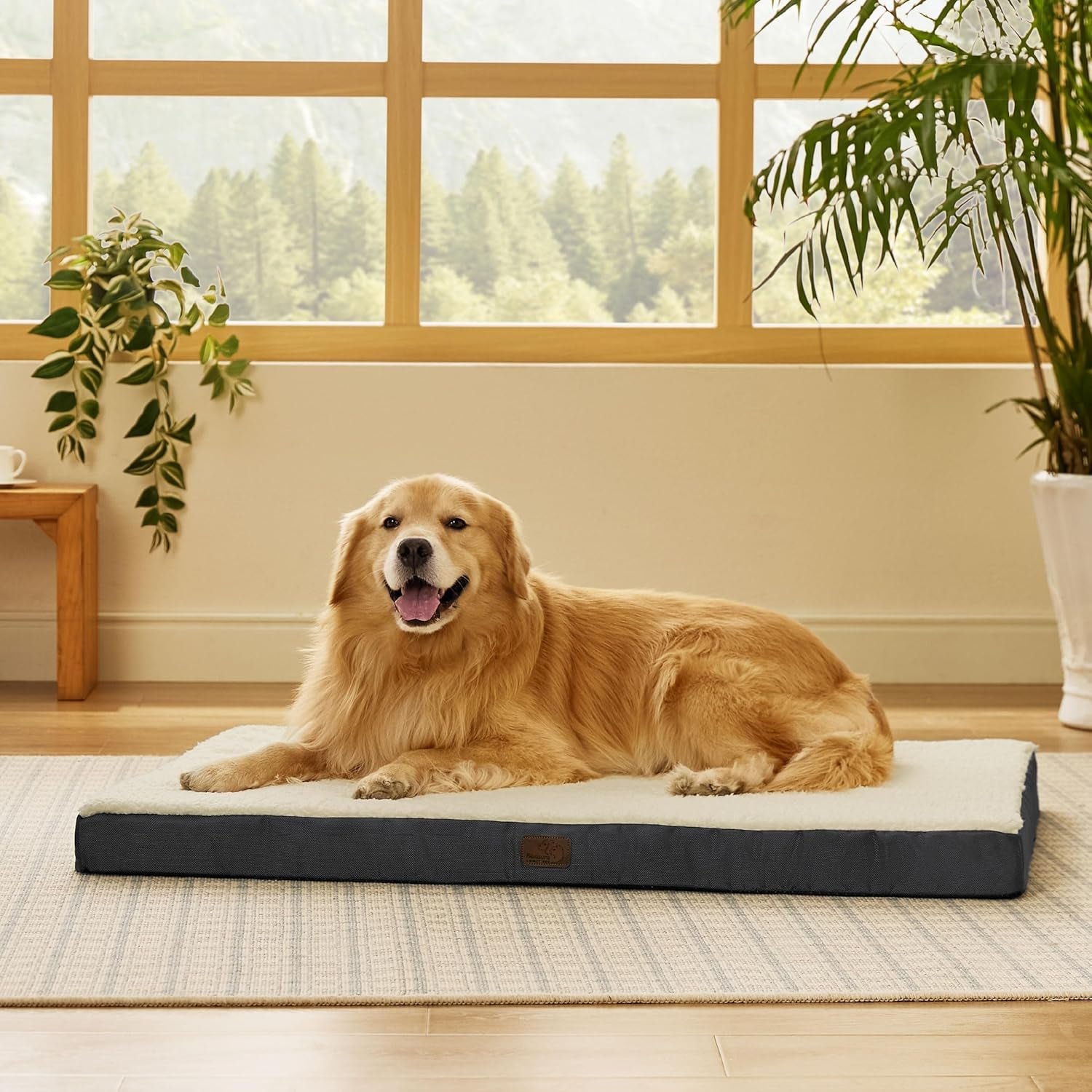 XL Dog Beds Large Sized Dog -Orthopedic Flat Extra Large Pet Beds with Removable Washable Cover, Egg Crate Foam Mat, Suitable for Pet up to 100 Lbs